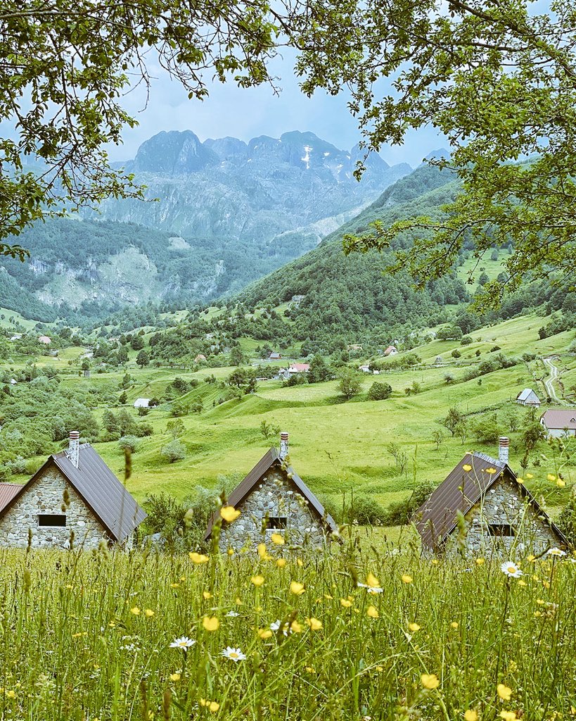 Parashikimi i motit në Shqipëri