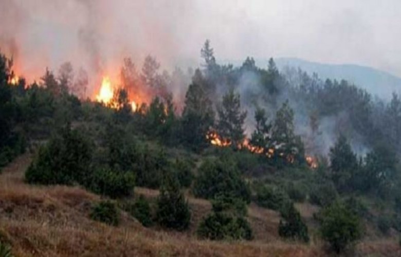 Shqipëri, 10 vatra zjarri aktive