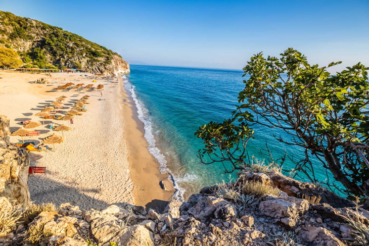 Shqipëri, parashikimi i motit