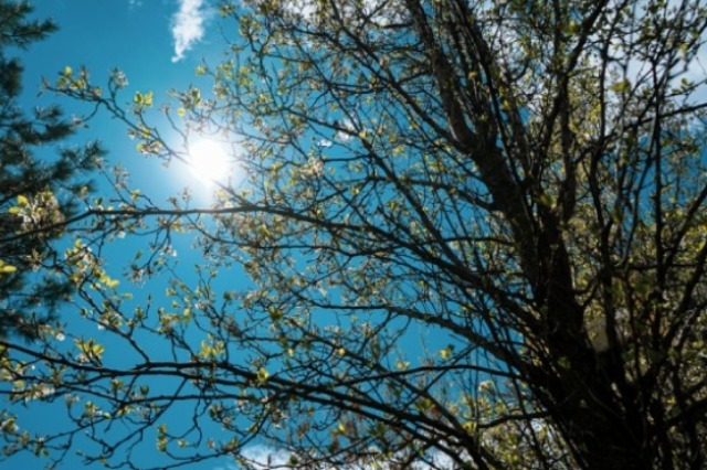 Shqipëri, moti do të jetë me vranësira mesatare, mjegull dhe diell në juglindje