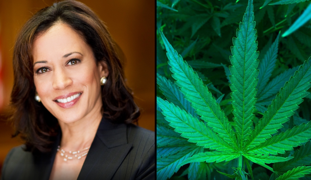 Kamala Harris premton legalizim të plotë të marihuanës