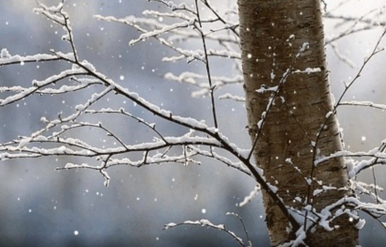 Edhe sot ftohtë, temperatura maksimale 6 gradë Celsius