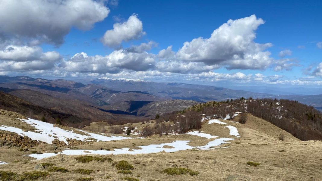 Moti në Shqipëri