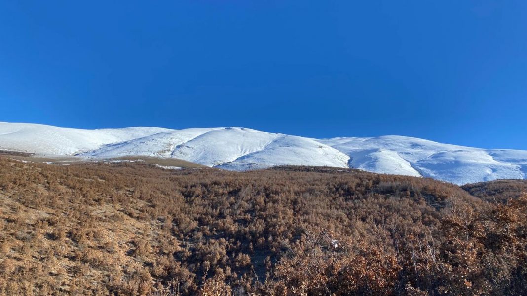 Moti në Shqipëri