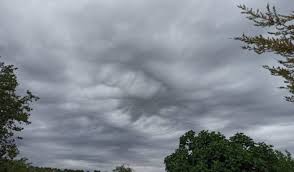 Moti i vranët, temperatura deri në 14°C