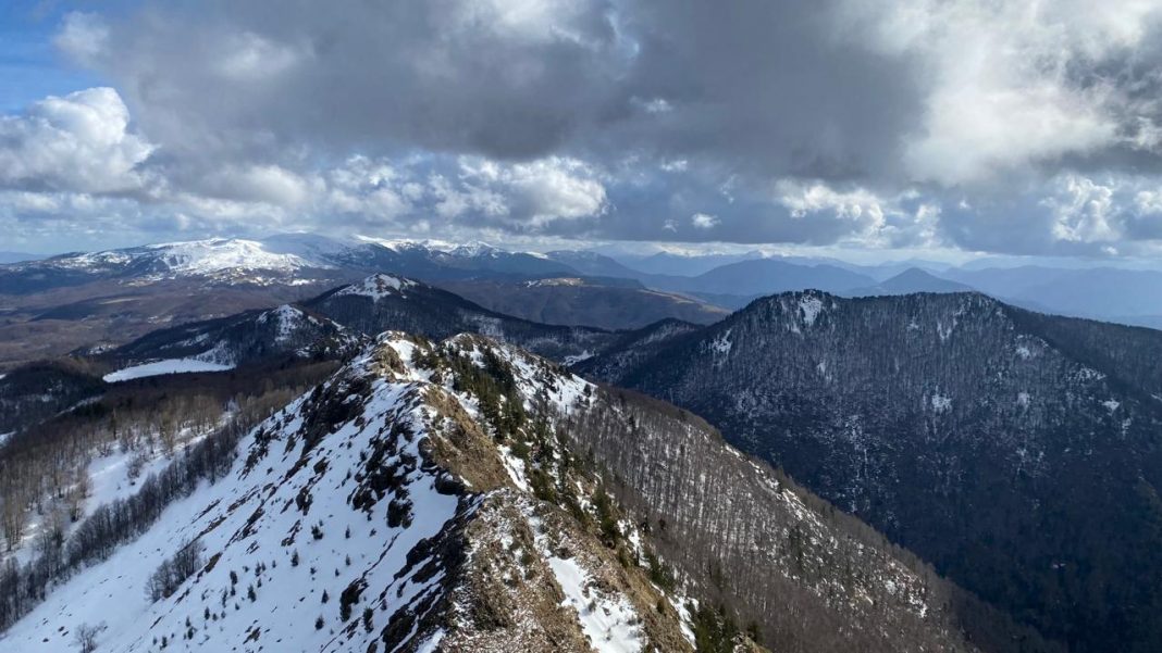 Parashikimi i motit në Shqipëri