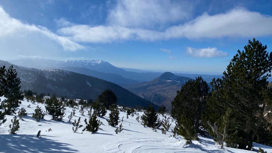 Parashikimi i motit në Shqipëri