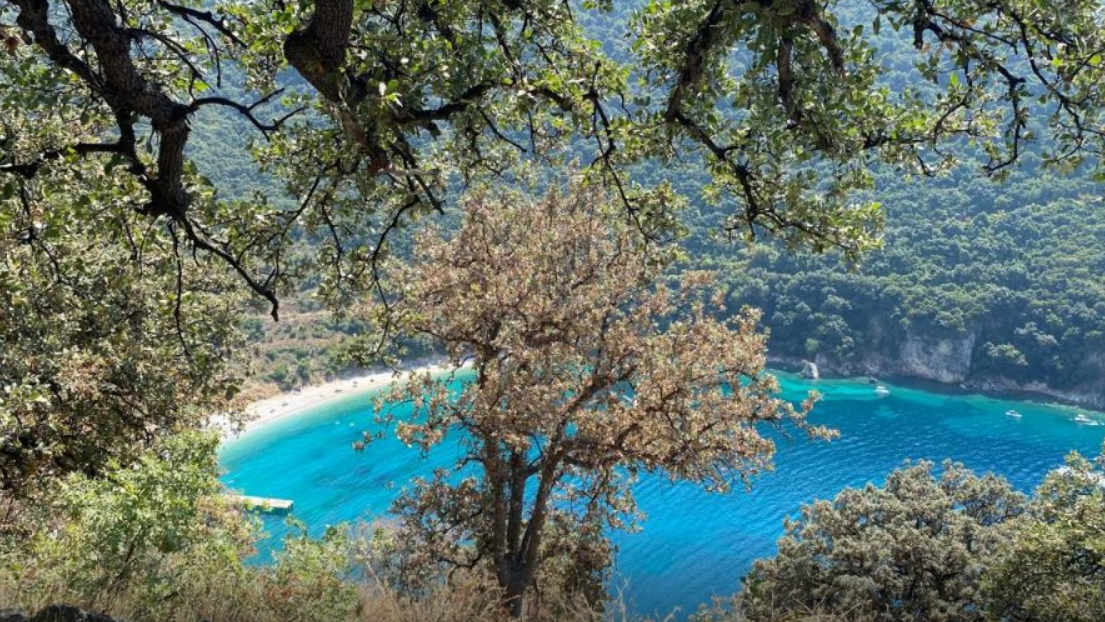 Shqipëri, parashikimi i motit Shqipëri, parashikimi i motit