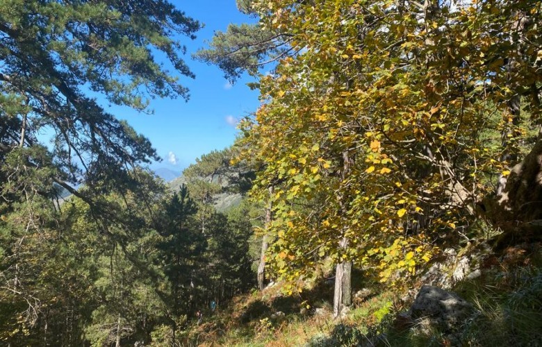 Moti në Shqipëri, relativisht i paqëndrueshëm Moti në Shqipëri, relativisht i paqëndrueshëm
