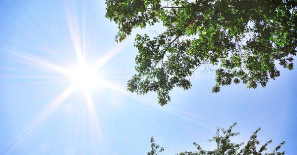 Shqipëri, parashikimi i motit Shqipëri, parashikimi i motit