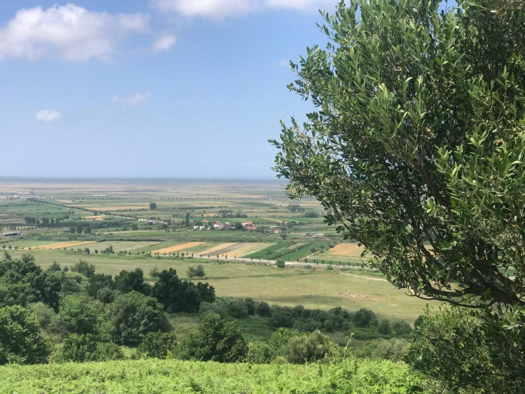 Moti në Shqipëri Moti në Shqipëri