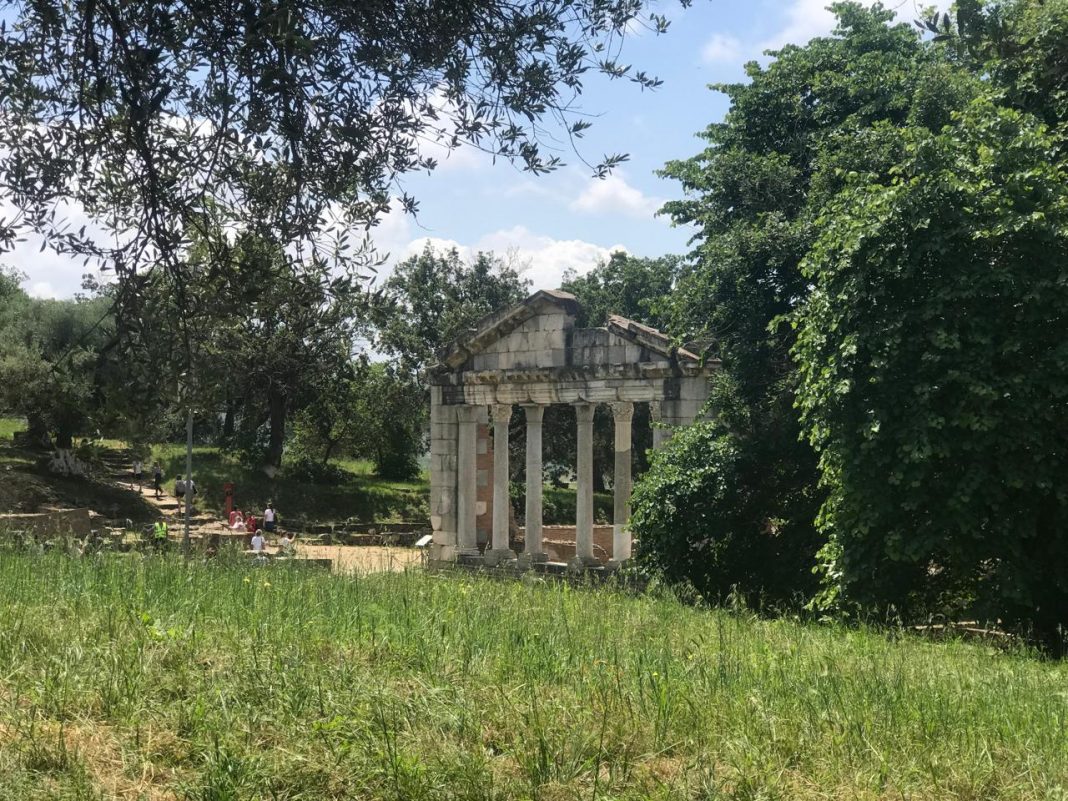 Shqipëri, parashikimi i motit