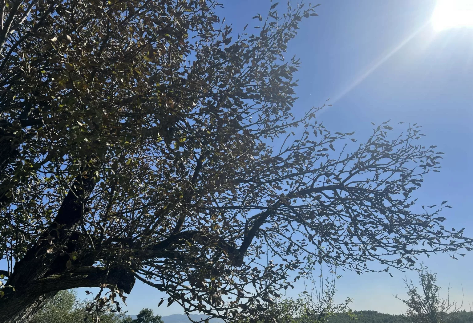 Moti sot, i vranët dhe me intervale me diell Moti sot, i vranët dhe me intervale me diell