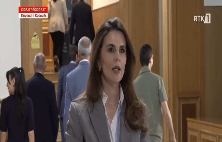 Çitaku: Mungon definicioni i duhur në shqip për të shpjeguar absurditetin Çitaku: Mungon definicioni i duhur në shqip për të shpjeguar absurditetin
