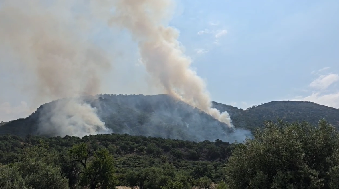 Aktivizohen dy vatra zjarresh, në Himarë ndërhyhet nga ajri, në Lezhë digjen mbetje inertesh Aktivizohen dy vatra zjarresh, në Himarë ndërhyhet nga ajri, në Lezhë digjen mbetje inertesh