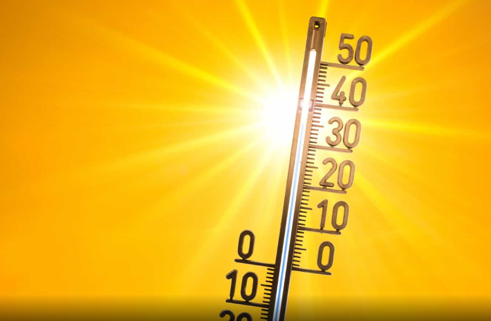 Parashikimi i motit për nesër