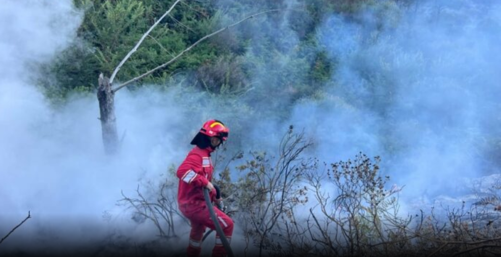 32 vatra zjarri në 24 orët e fundit në Shqipëri