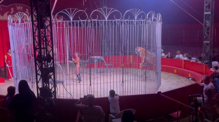 Cirku italian në Berat, akrobatët dhurojnë spektakël për fëmijët e të rritur