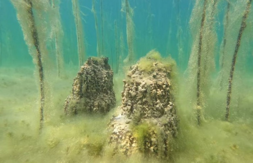 Vendbanimi më i vjetër liqenor i Evropës zbulohet në Shqipëri
