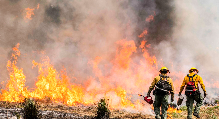 Zjarret në vend, 8 vatra aktive, situata më e rëndë në Lurë dhe Mallakastër