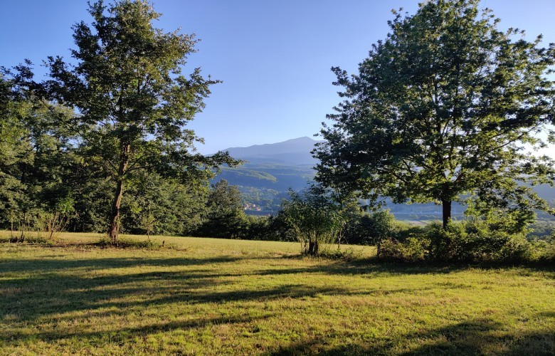 Moti sot me diell, temperaturat deri në 38°C