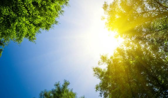 Parashikimi i motit për pesë ditët e ardhshme