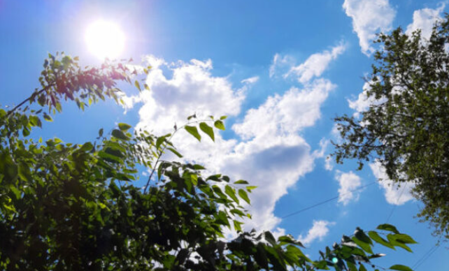 Moti nesër dhe ditëve në vazhdim