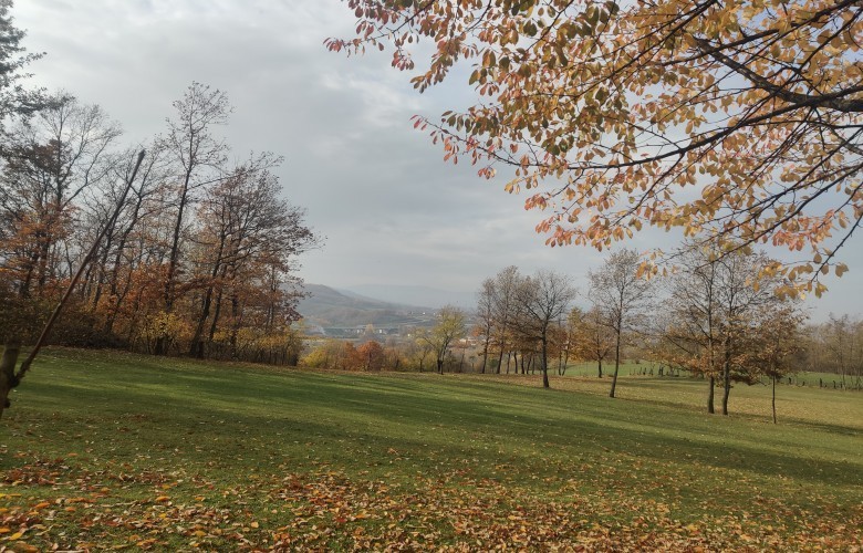 Mot i kthjellët dhe temperatura deri në 29°C