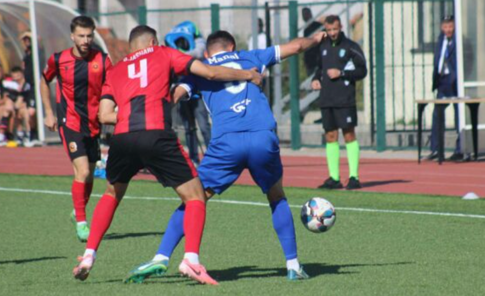 Drenica thellon krizën e Dritës