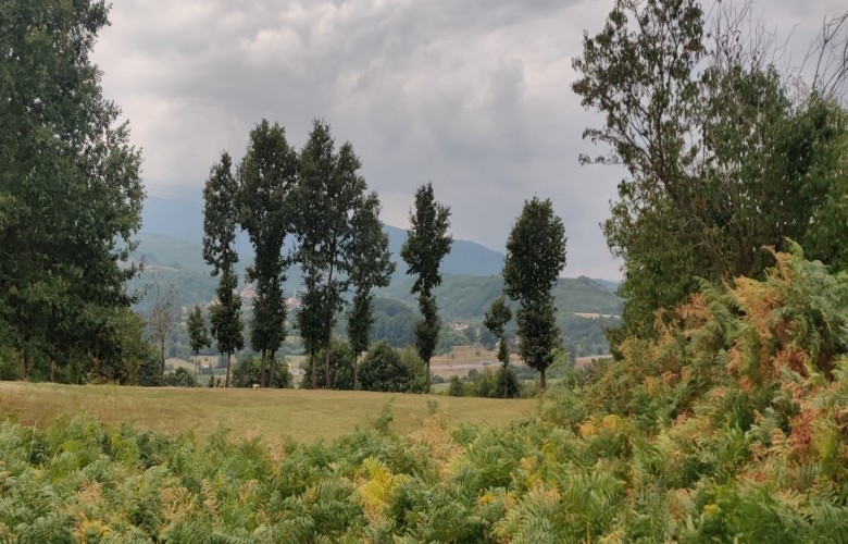 Në Kosovë, moti i ngrohtë në fillim të javës, reshje shiu nga e enjtja