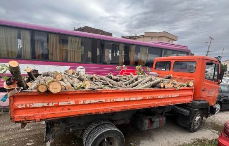 Arrestohen tre persona për vjedhje pylli dhe kanosje ndaj zyrtarëve