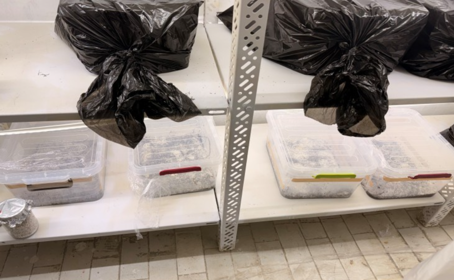 Aksion antidrogë në Prishtinë, sekuestrime dhe një i ndaluar