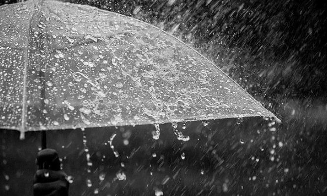 Shqipëri, parashikimi i motit