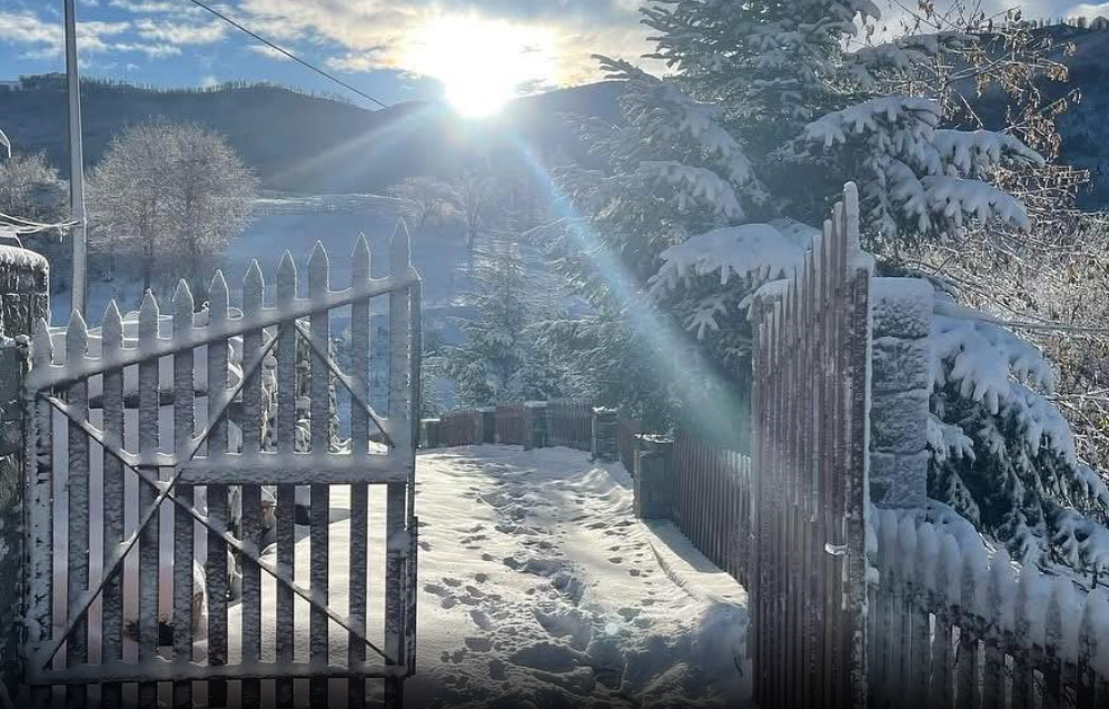 Rovia e mbuluar nga bora, Edi Rama ndan pamje mahnitëse nga Gramshi