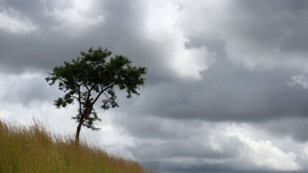 Edhe sot mot kryesisht i vranët