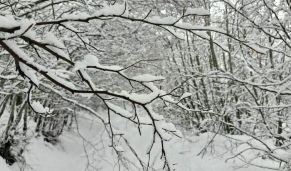 Mendimi për motin: Nesër më shumë reshje dëbore