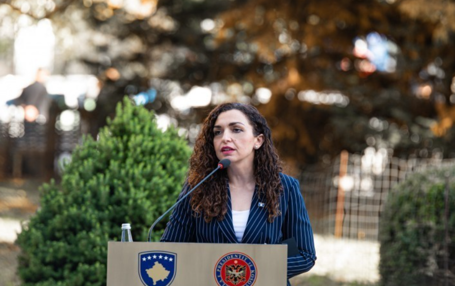 Rrëmbimi i serbit në kufi, Osmani: Dëshmi e qasjes hegjemoniste të Serbisë