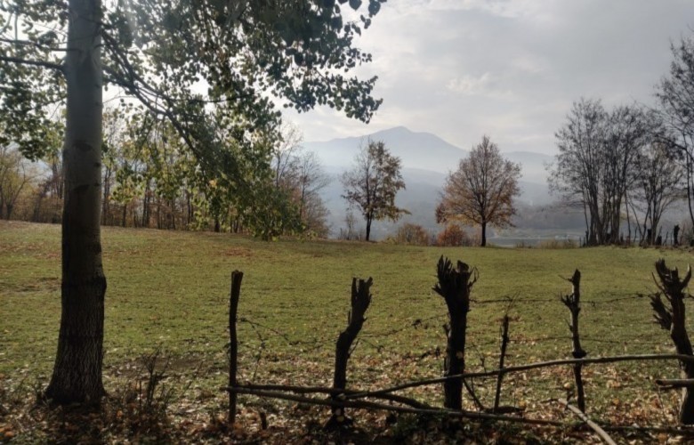 Moti sot me diell dhe pjesërisht i vranët