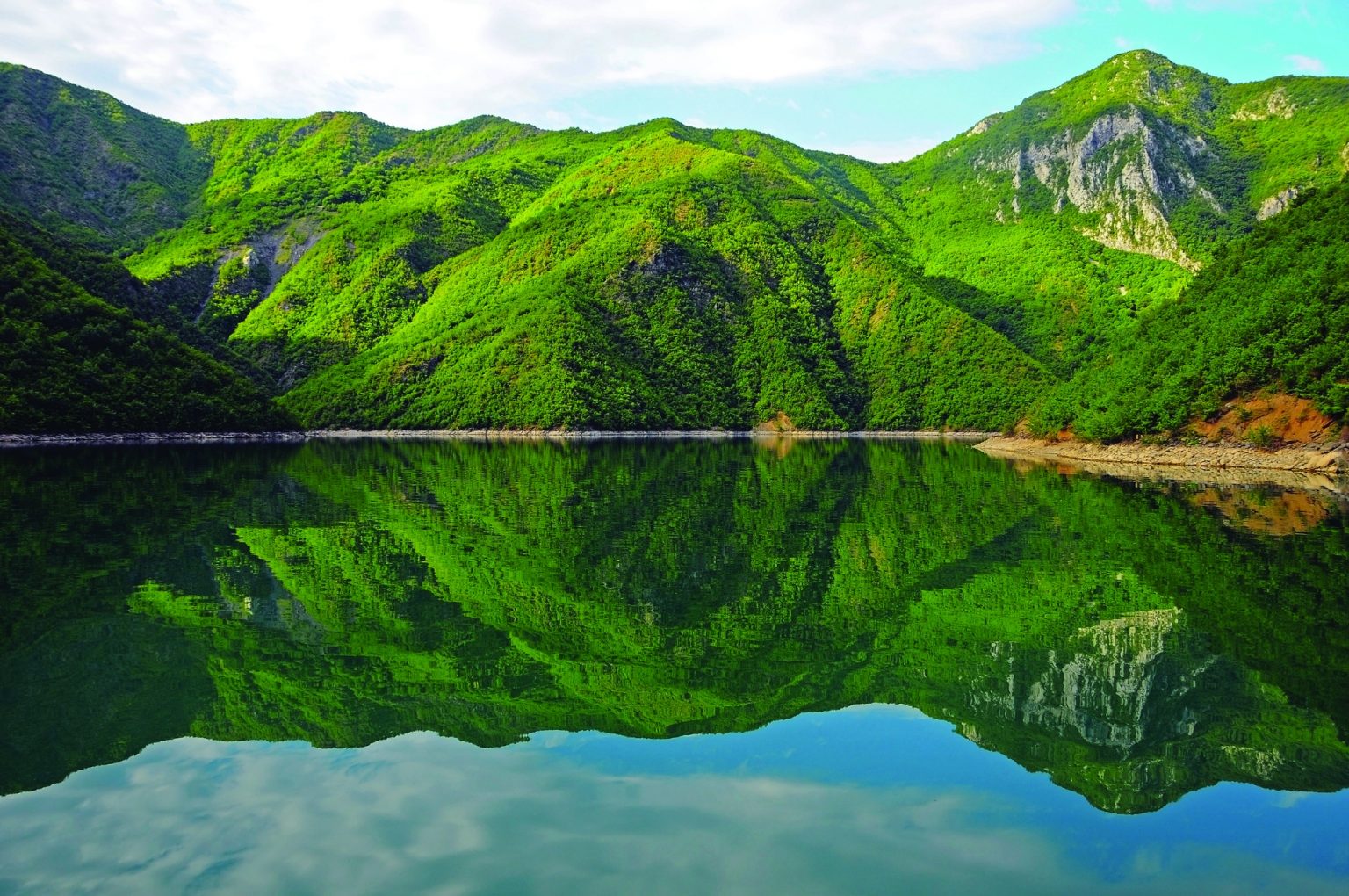 Shqipëri, parashikimi i motit