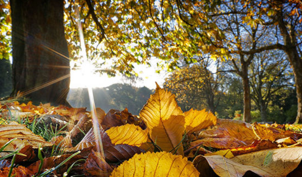 Moti për javën e ardhshme: Më shumë diell, më pak shi