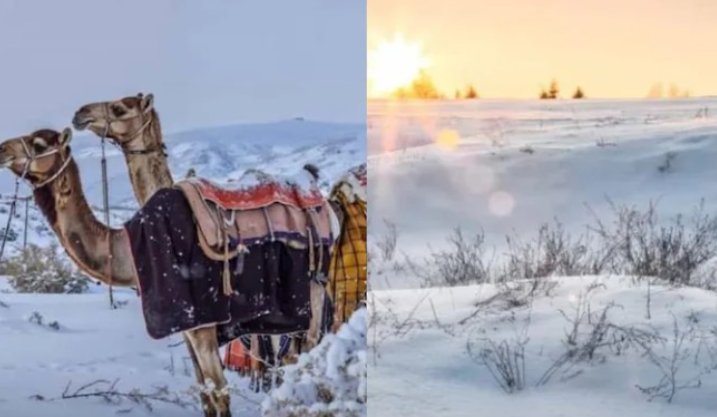 E pazakontë, shkretëtira arabe zbardhet nga dëbora pas 30 vitesh