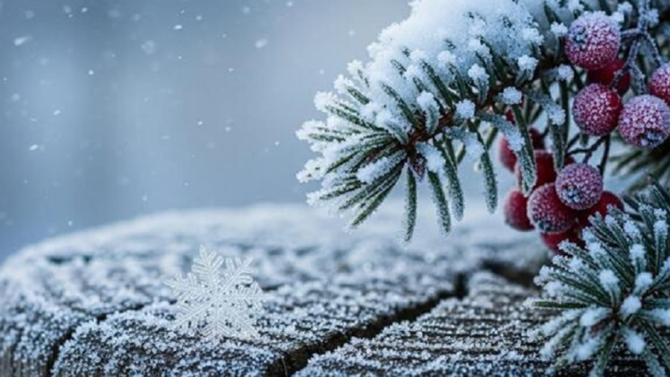 Mot i acartë në ditët në vazhdim, Viti i Ri me fjolla bore