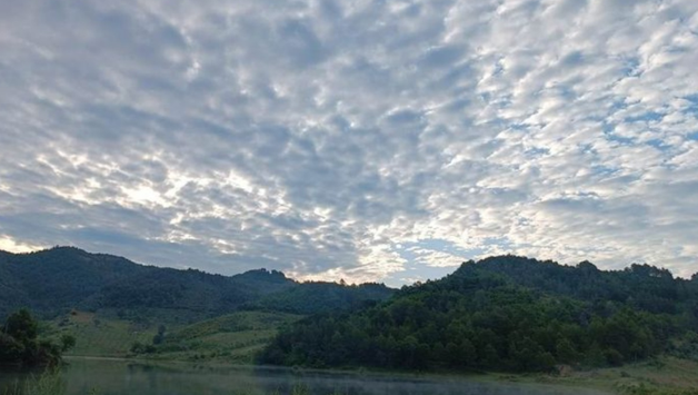 Shqipëri, parashikimi i motit