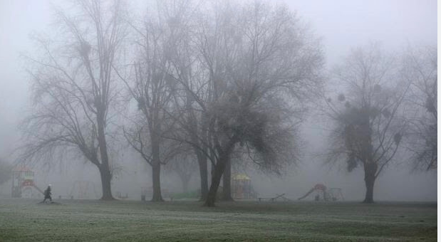 Shqipëri, parashikimi i motit