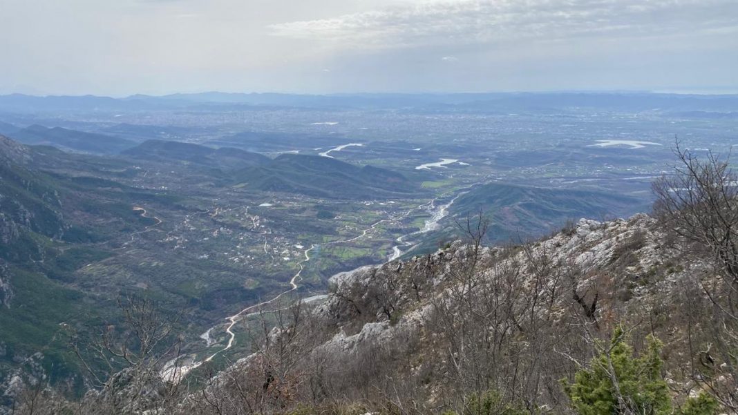 Shqipëri, parashikimi i motit