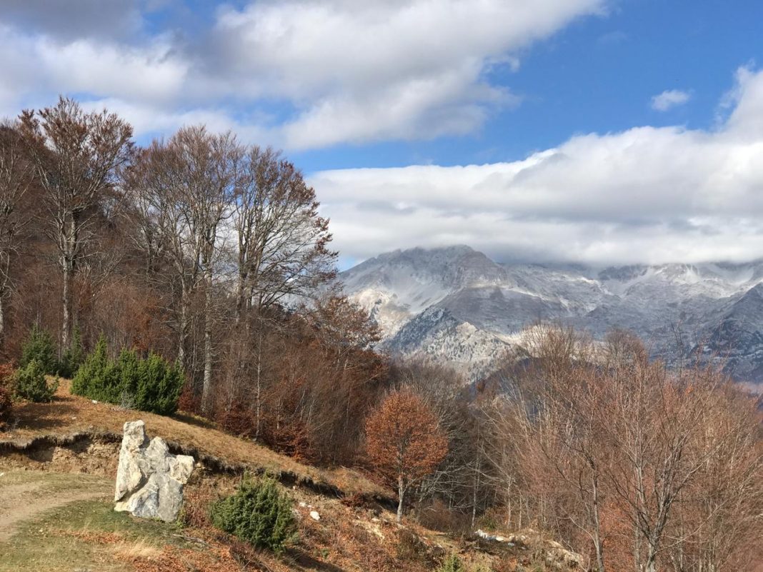 Moti në Shqipëri Moti në Shqipëri