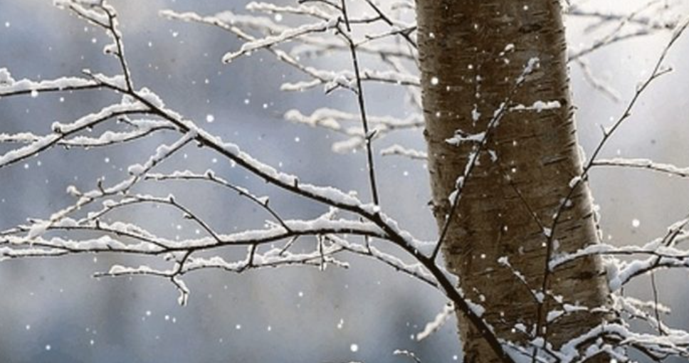 Nis me diell, vazhdon me shi e borë – parashikimi i motit pesëditor