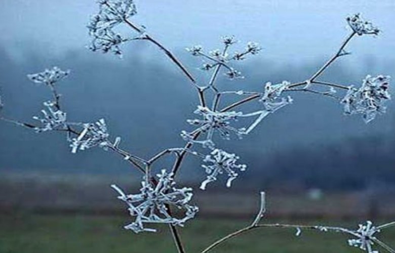 Edhe sot mot i ftohtë