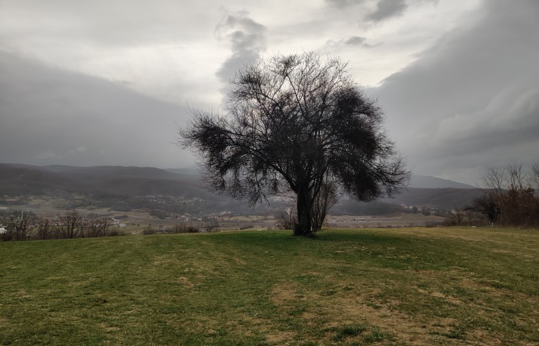 Mot sot kryesisht i vranët