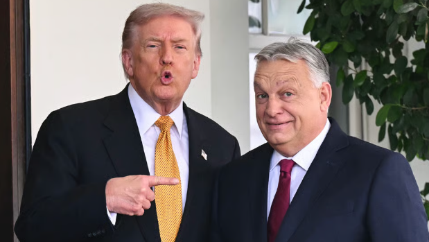 Rubio do të vizitojë Evropën Lindore për të forcuar lidhjet me udhëheqësit pro-Trump Rubio do të vizitojë Evropën Lindore për të forcuar lidhjet me udhëheqësit pro-Trump